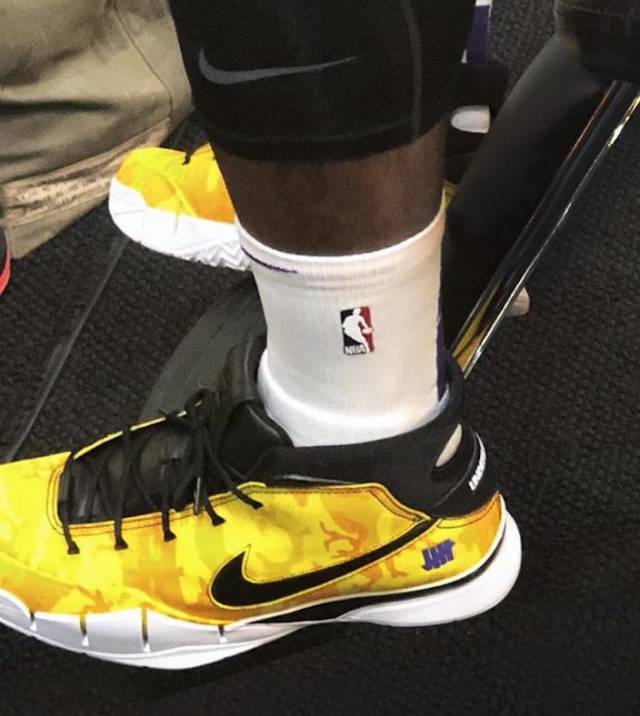 证詹姆斯登 证詹姆斯登