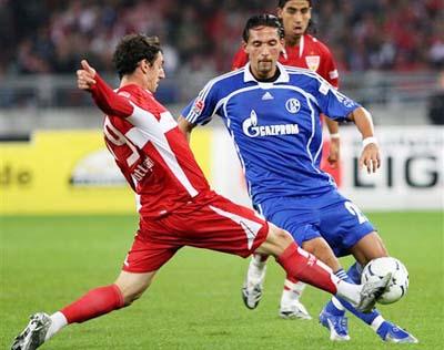 忽视他家的 忽视他家的